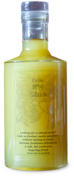 https://thecellocompany2.korulo.be/wp-content/uploads/2020/01/cello-4-schaduw-small.png
