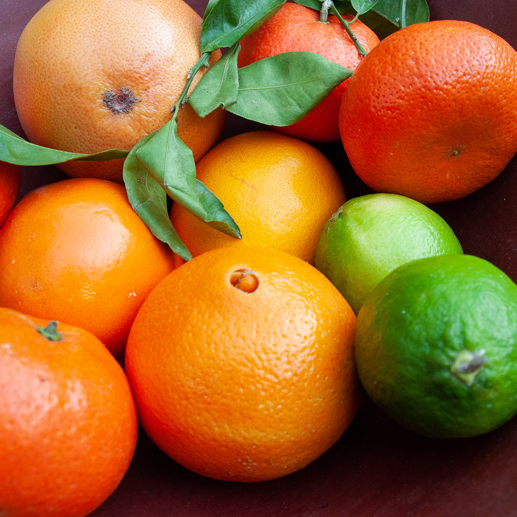 https://thecellocompany2.korulo.be/wp-content/uploads/2020/01/organic-citrus-3.jpg